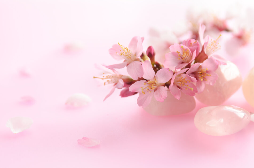 桜水晶 意味 効果 優美な ピンク色が織りなす特徴：相性の良いパワーストーン天然石についてご紹介します！｜パワーストーン総合サイト｜種類意味効果一覧