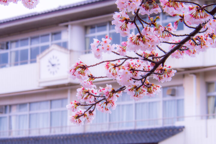 就職や入学、新学期などの新しい環境に向けてコミュニケーション能力をアップさせるパワーストーン 天然石をご紹介します！