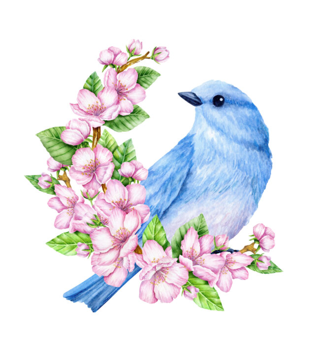 青い鳥とターコイズ｜世界の童話×天然石の旅～そばにある幸せを