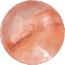 �����꡼��������