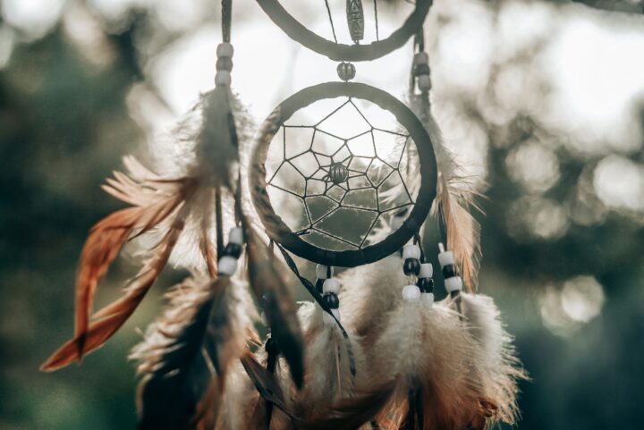 ホワイトセージとネイティブアメリカンの歴史