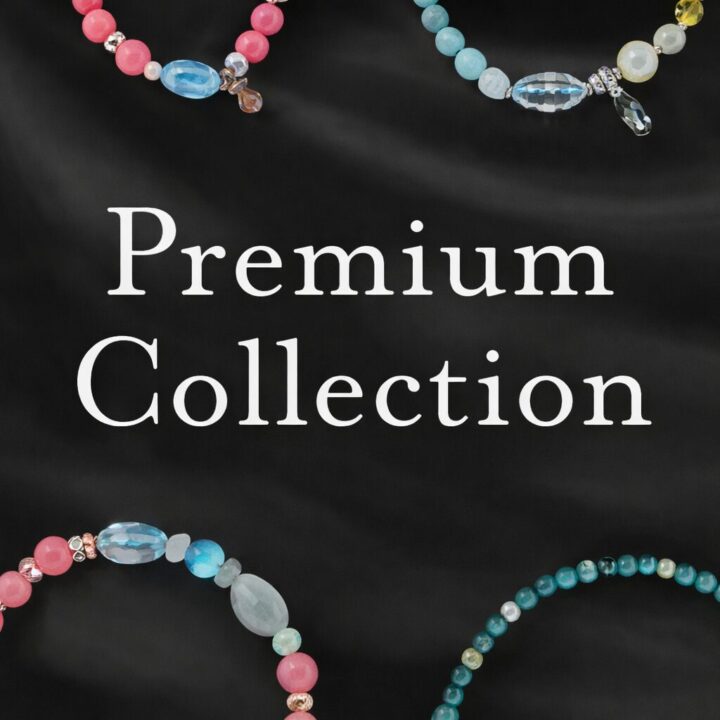 �ץ�ߥ����ý�