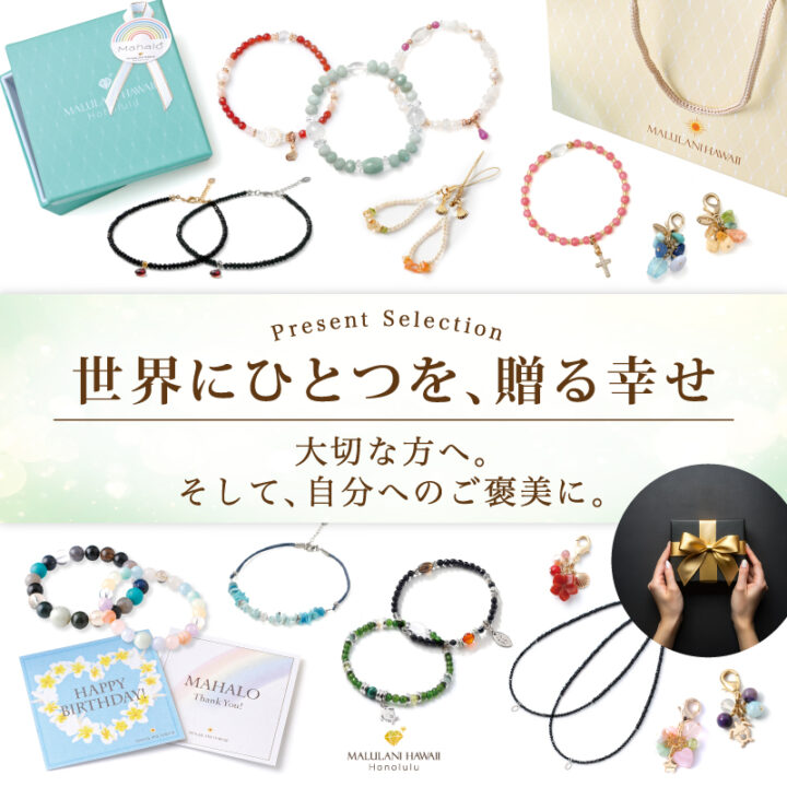 �������̥ץ쥼���