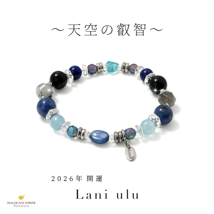 ŷ���α���