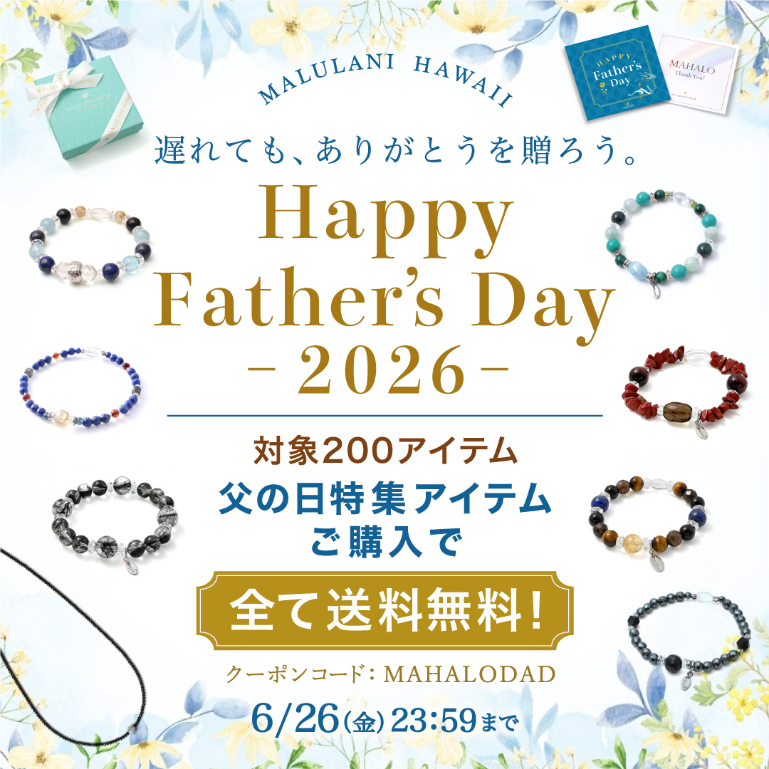 �ϥ磻���� �ѥ���ȡ��󥢥������꡼