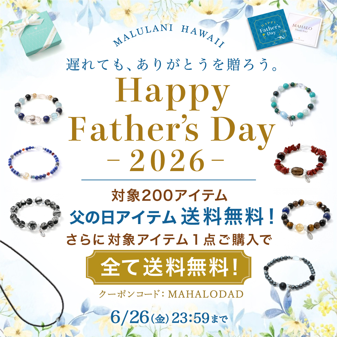 �ϥ磻���� �ѥ���ȡ��󥢥������꡼