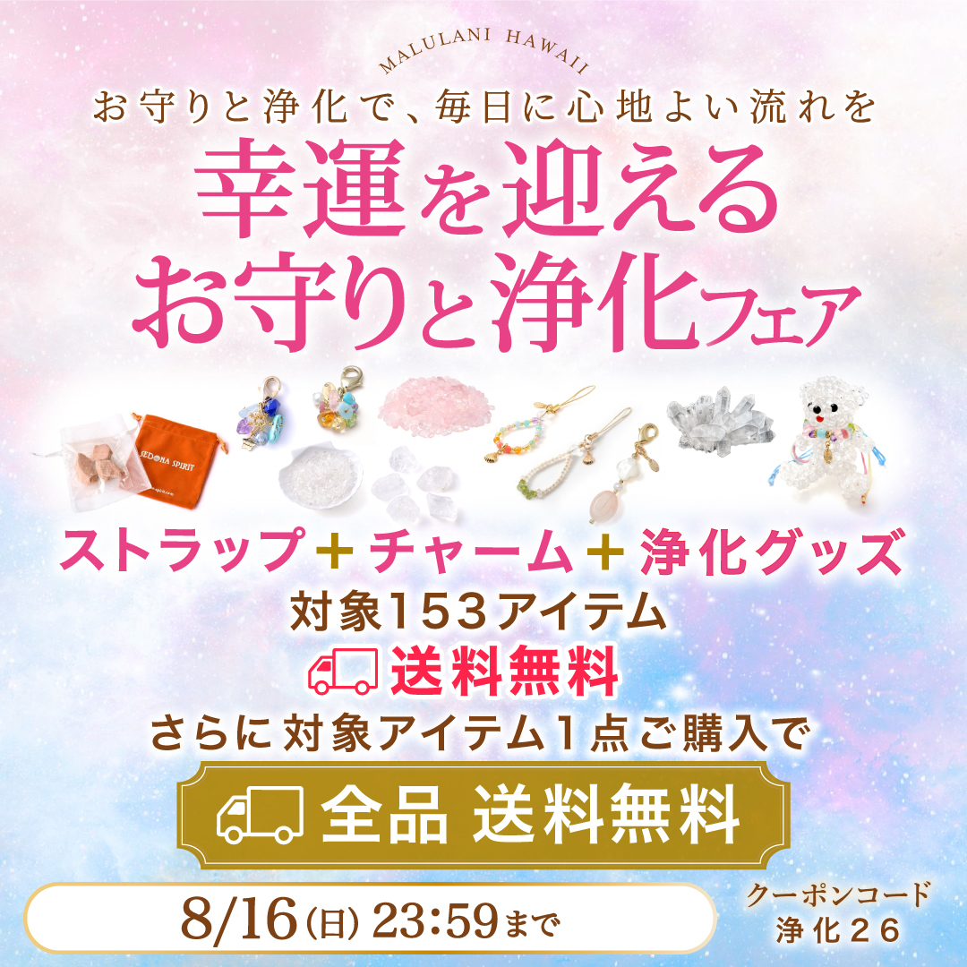 �ѥ���ȡ���֥쥹��å� �����ڡ���