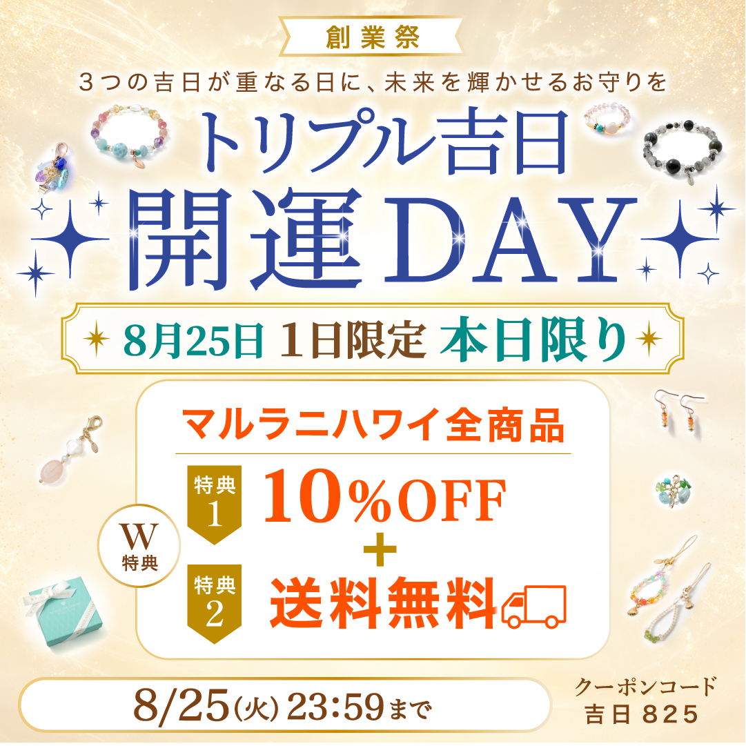 �ѥ���ȡ���֥쥹��å� �����ڡ���