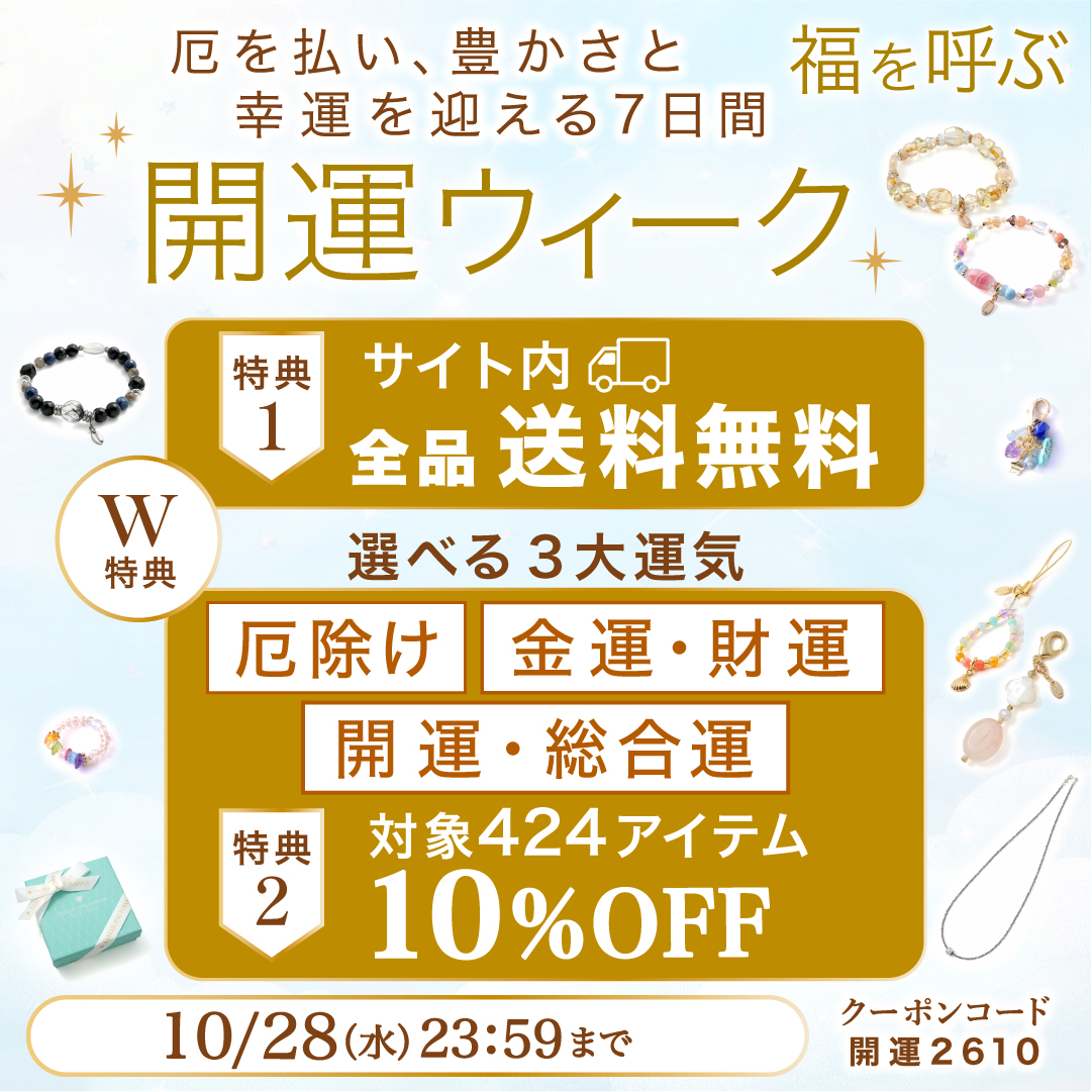 10��OFF����������̵�������ڡ���
